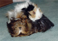 Sally & Lilly